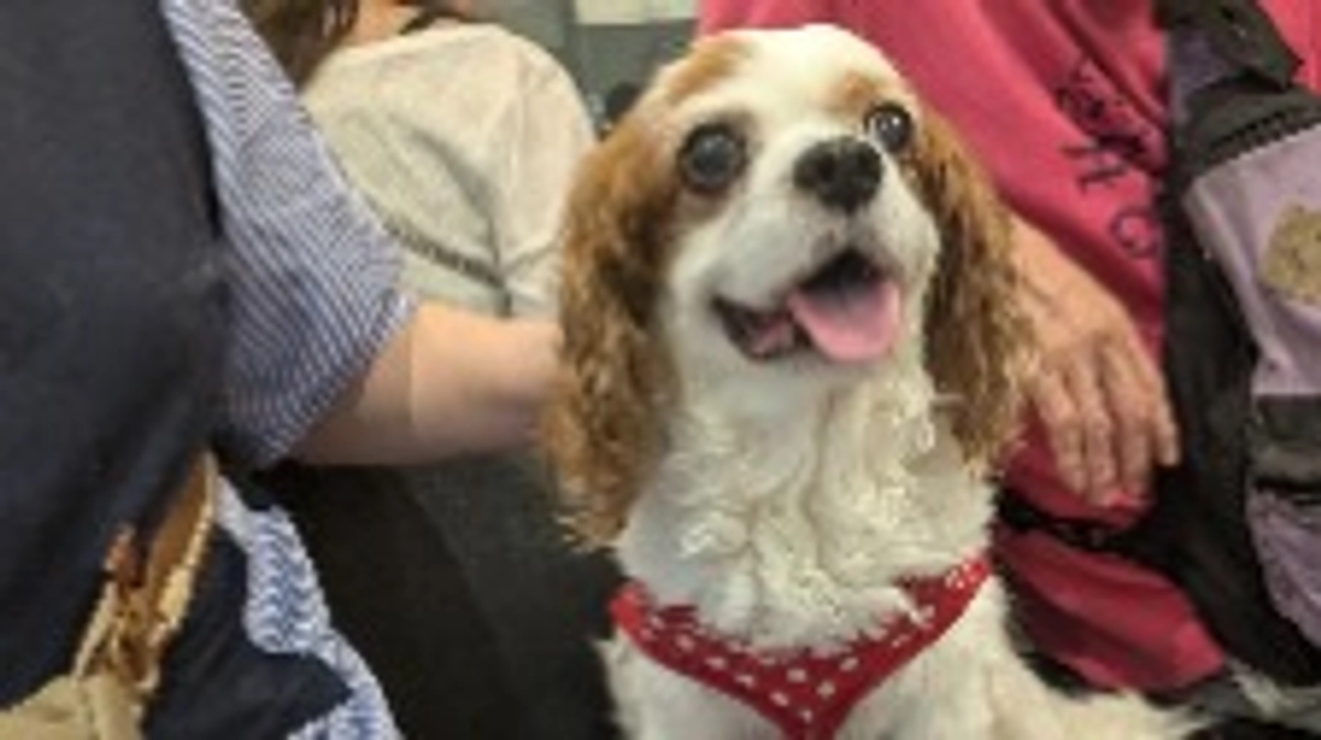 定期検診に行ってきました。