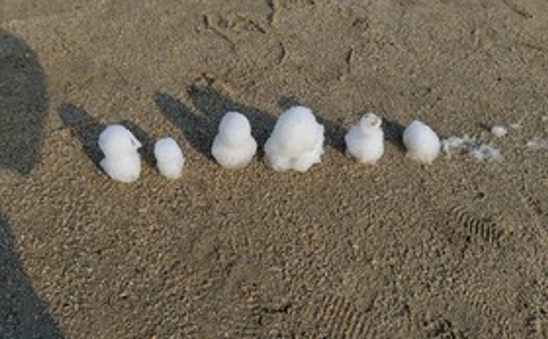 活動報告及び感謝のメール①