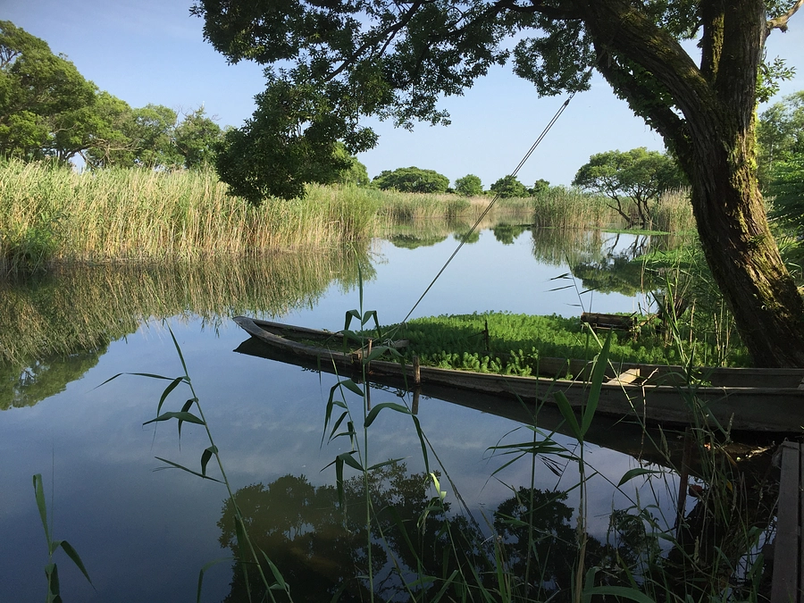 学芸員のお仕事紹介！　環境社会学　楊　平　～自然と人との関わりについての社会学的研究～