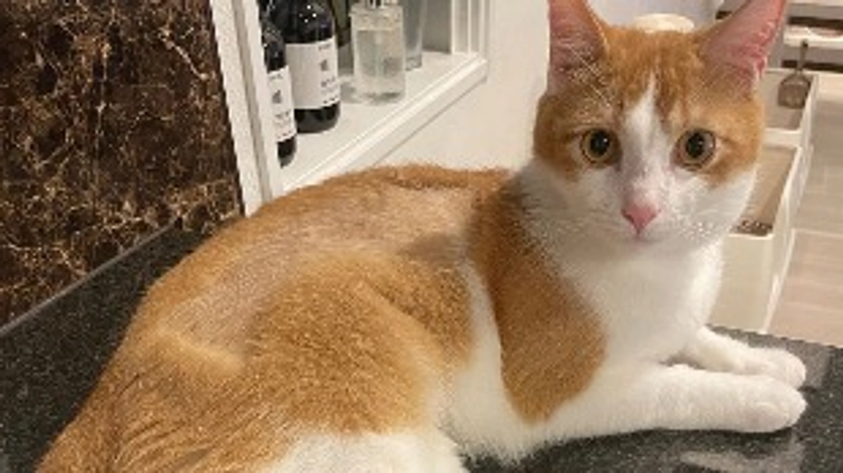 通院&毛刈りに行ってきました