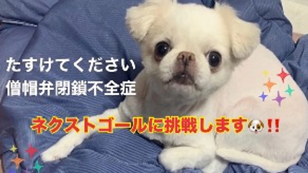 残り6日🐶‼️