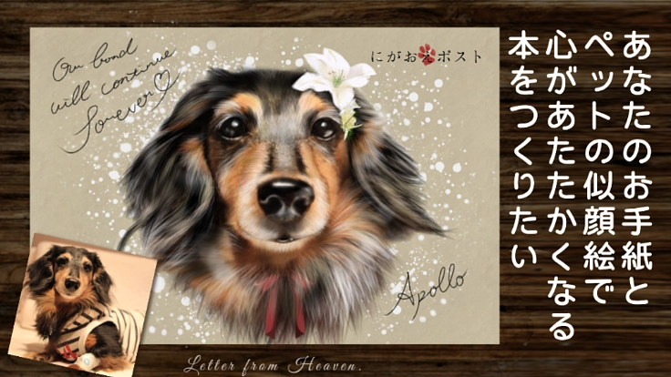 ペットロスを癒し、飼育放棄ゼロにも繋がる本をつくりたい！