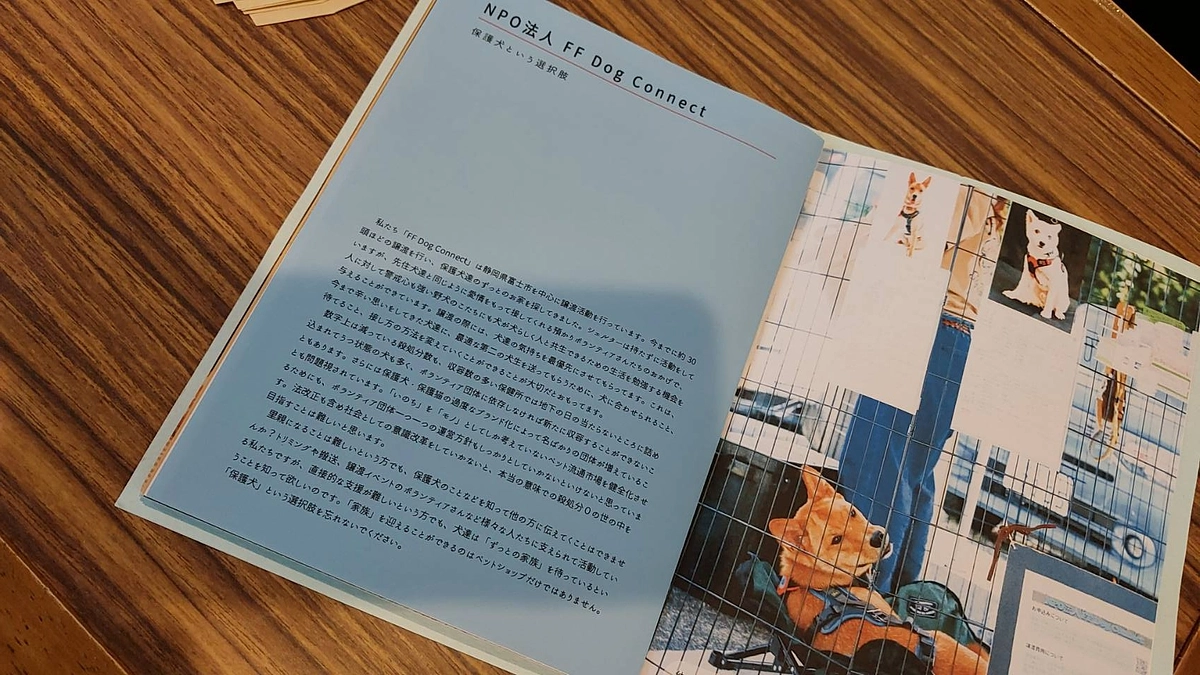 保護っ子たちの現在（残り７時間をきりました）