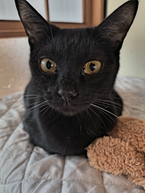 マメ君と今後の不安