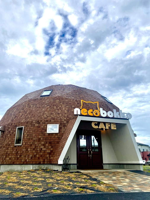 necobokko CAFE オープンしました！