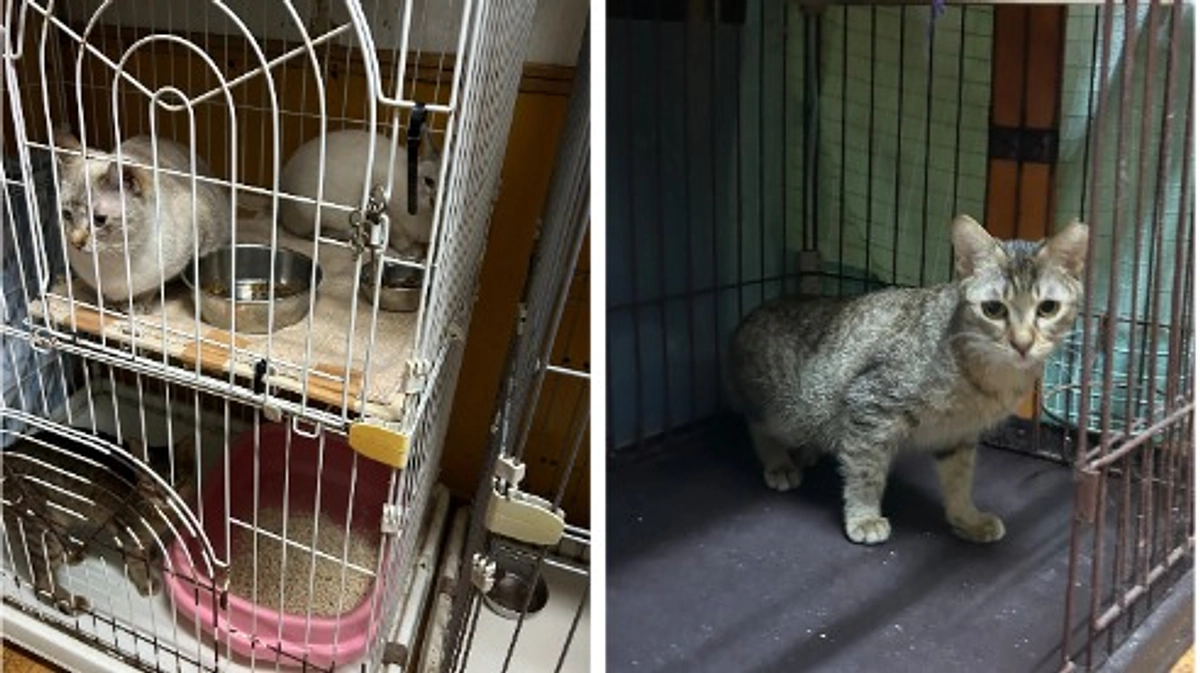 あと6日！リターンのご紹介①