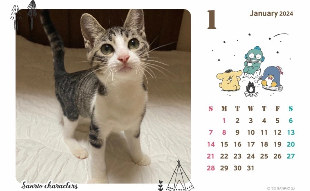 マカロンカレンダー