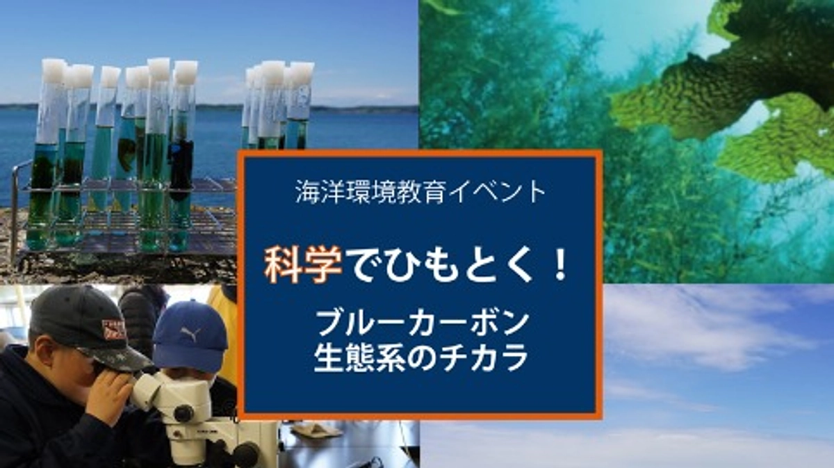 北海道・忍路イベント情報：科学でひもとく！ブルーカーボン生態系のチカラ