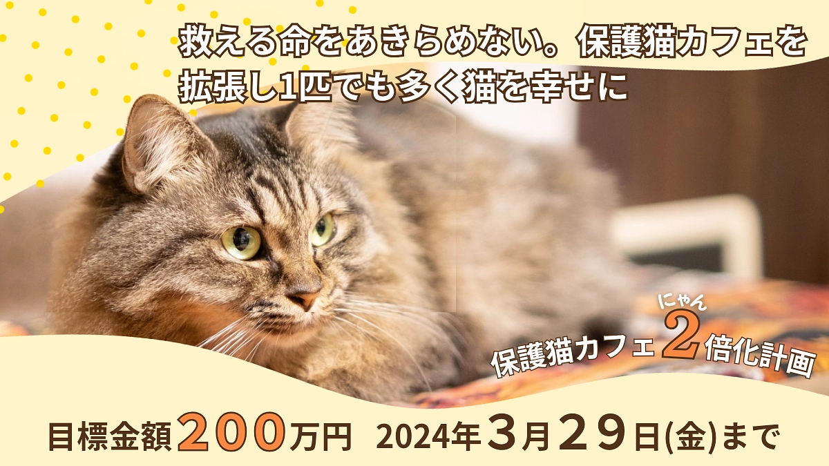 3度目のクラウドファンディングに挑戦してます！