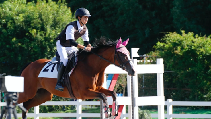 引退馬と若者の活躍の場を提供したい！全国高校生馬術選手権大会