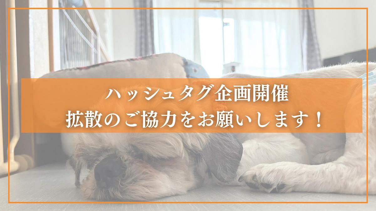 【ハッシュタグ企画！】皆さんの想いと共に、どうかご協力をお願いします!!