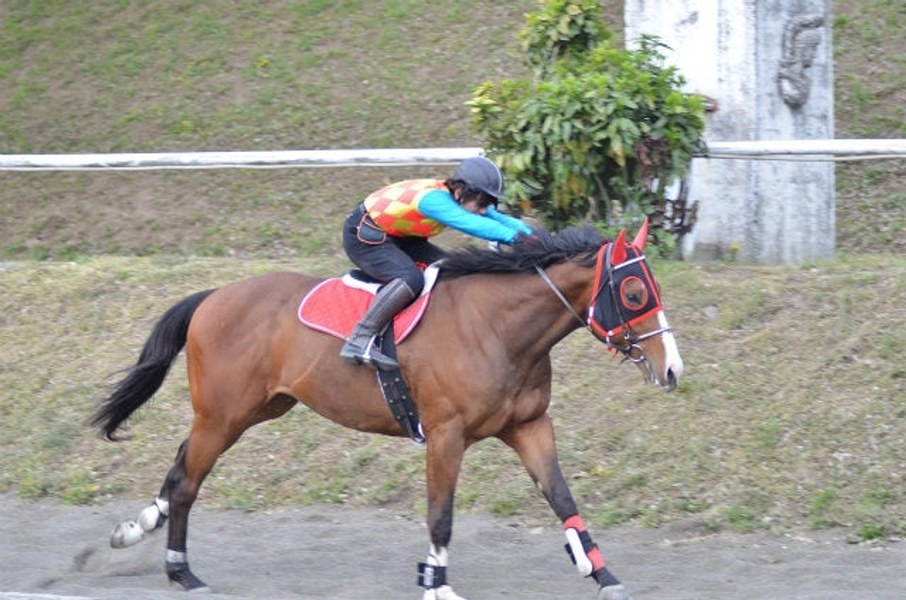 いよいよラスト１ハロン！ラストスパート！