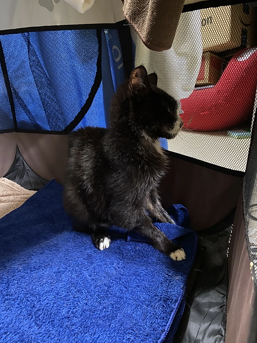 9/14 病院受診　検査結果報告