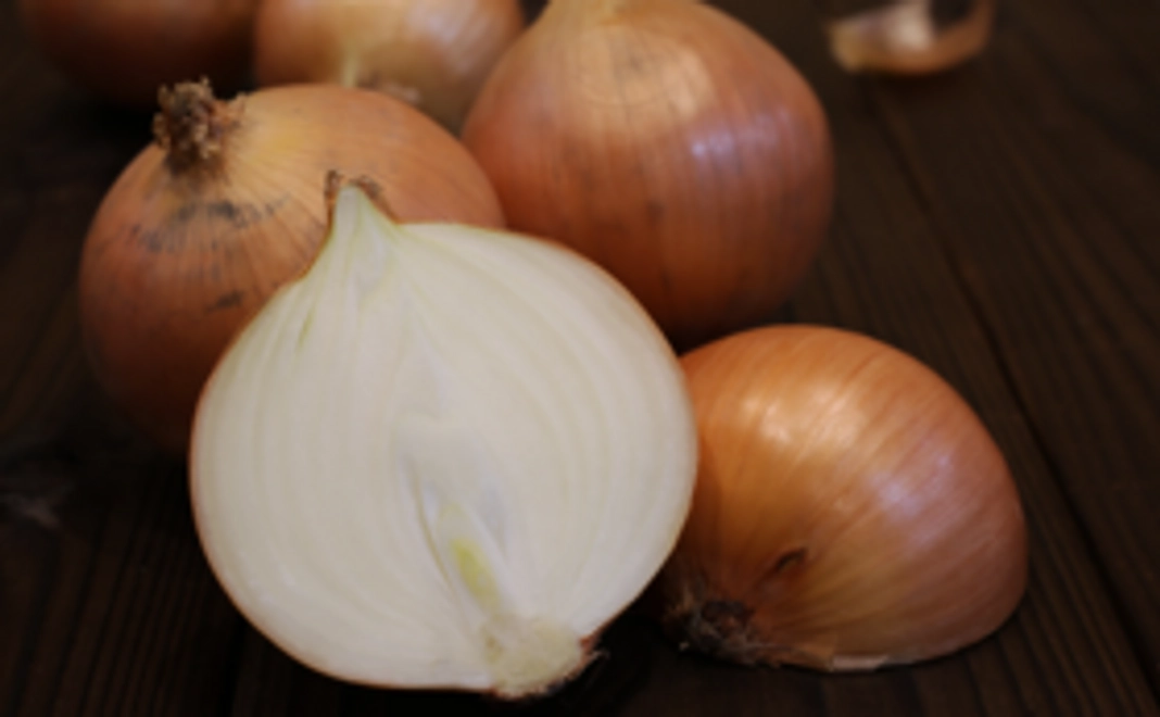 淡路島おススメ品お試しコース