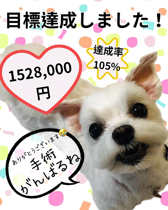 成立です‼️‼️