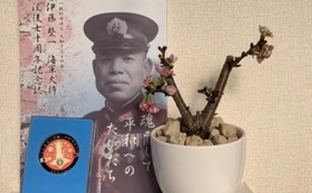 戦艦大和ゆかりの鉢植え父子桜・使い捨てマスク×2箱・記念メダル・記念誌