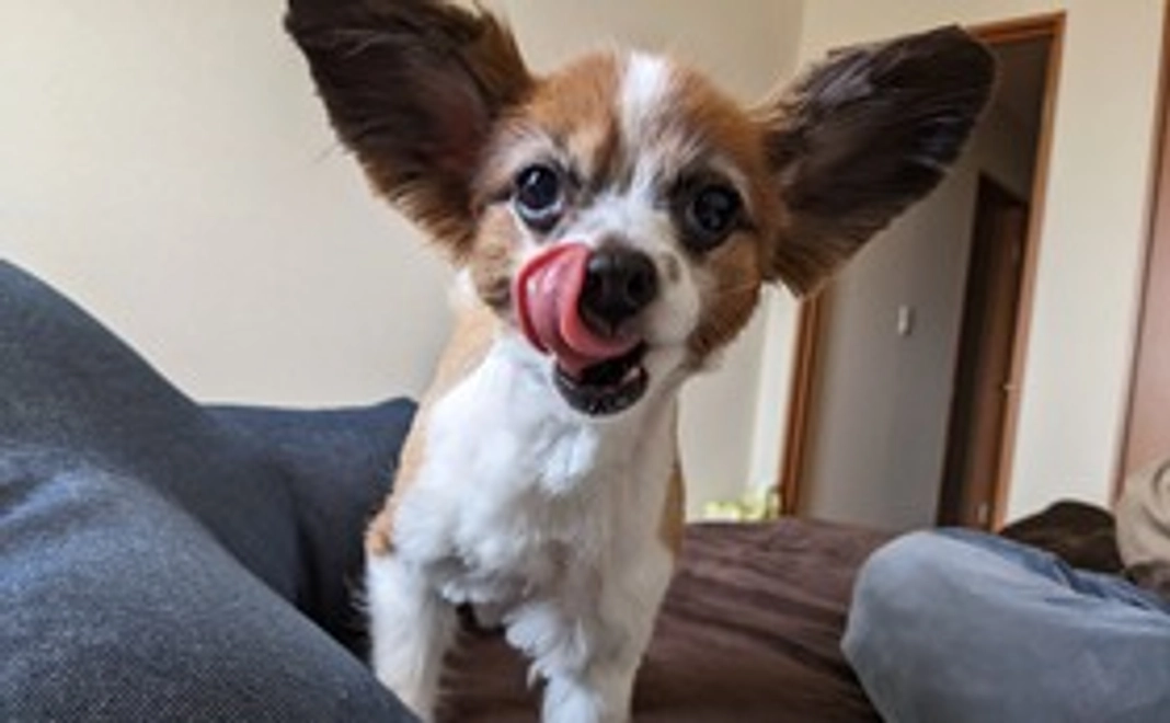 1000円支援コース