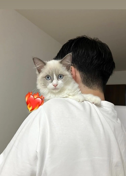 インスタグラムのご案内