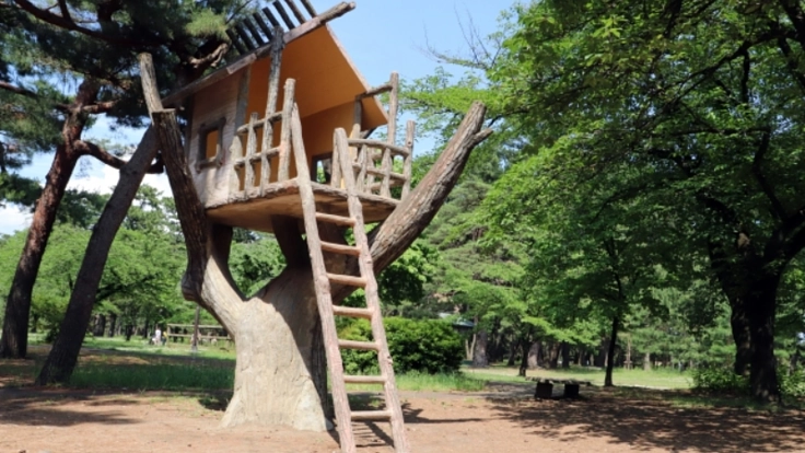 無料の公園を作り子供たちにアジアと自然を感じてほしい！(福岡県)