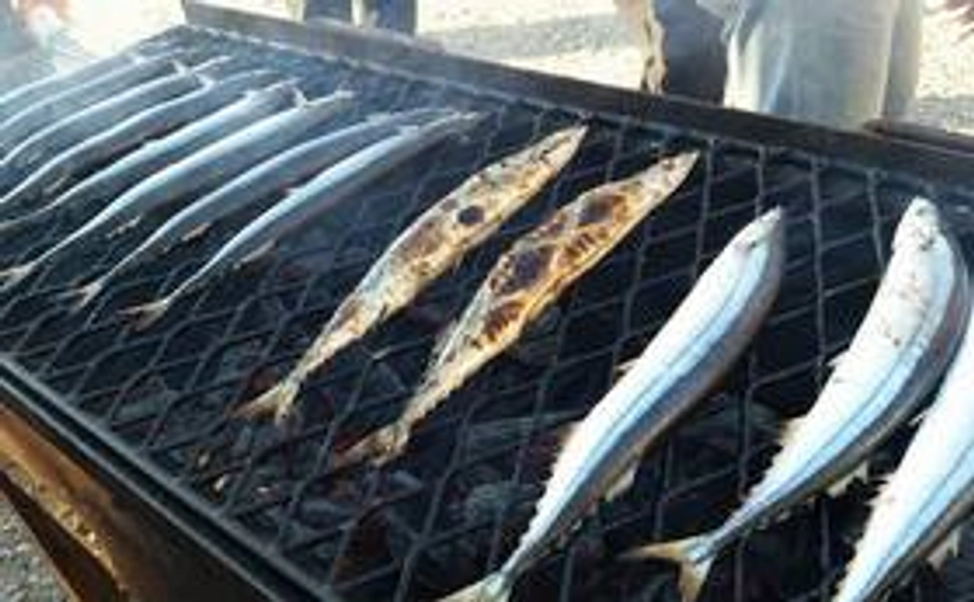 サンクスメール＋サンマ優待券