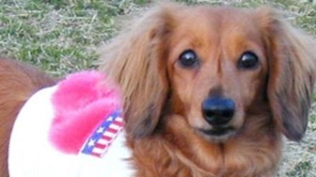 【ご報告と新たな挑戦】残り2日で1000万円達成！デュッカの力を借りてサードゴール1300万円へ！！