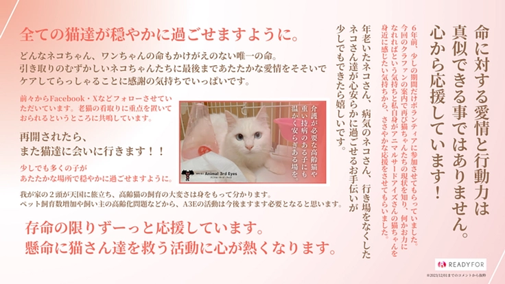 アニマルサードアイズ│生き場を失くした老猫や傷病猫にも幸せな生涯を 6枚目