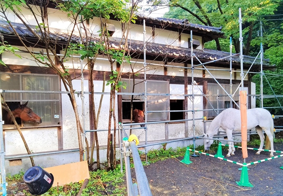 ご支援いただいた皆様へ大切なご報告