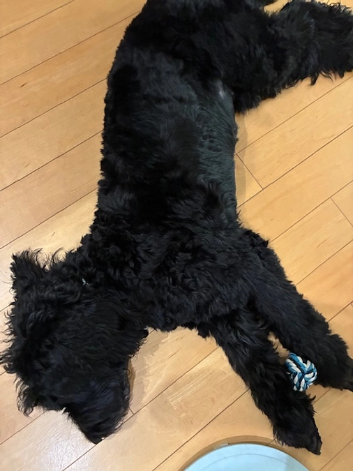 こんな感じで過ごしてます