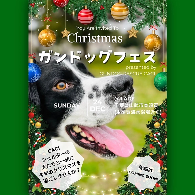 GUNDOG FES開催のご案内