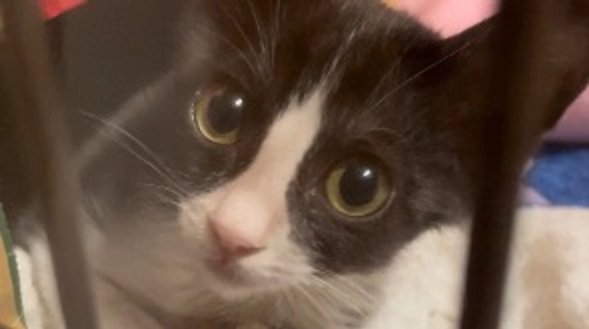 寄付をさせていただきました。