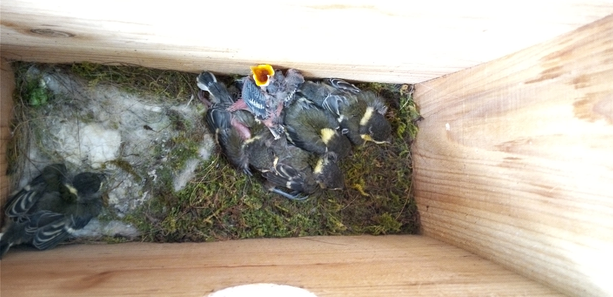 暑さもひといきですね…