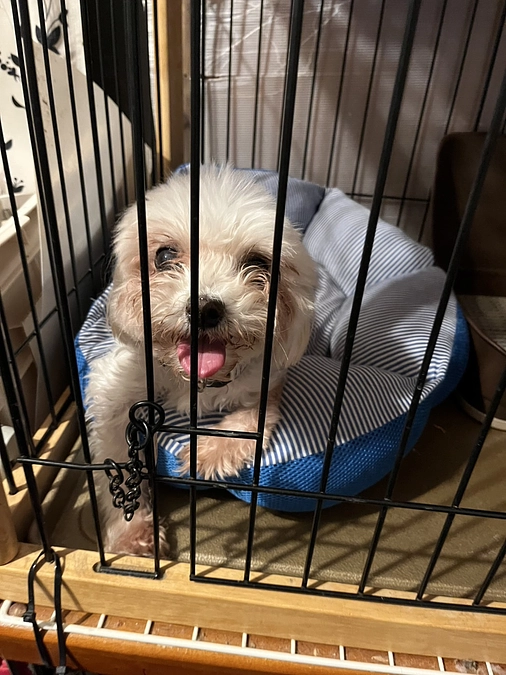 暑くなると・・・