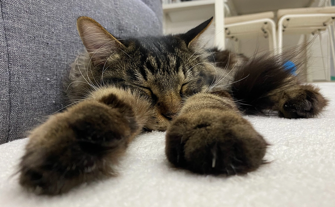 感謝・お礼のメール