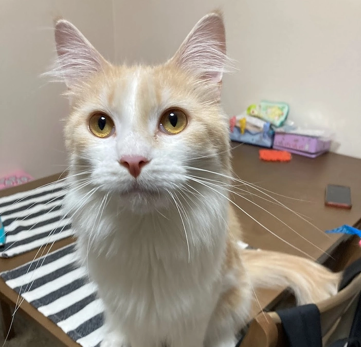 10/25ルイの様子