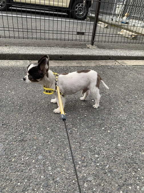 咳がかなりしんどそうです😣💦