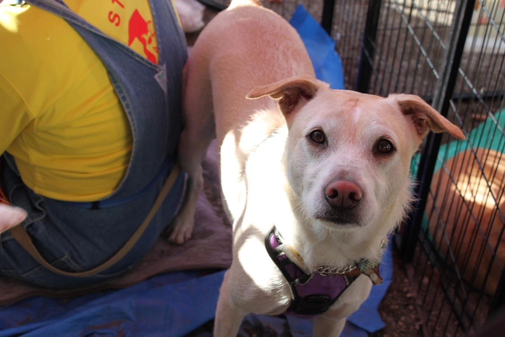 あと5時間！プロジェクト終了は本日23時です！最後まで見守ってください！