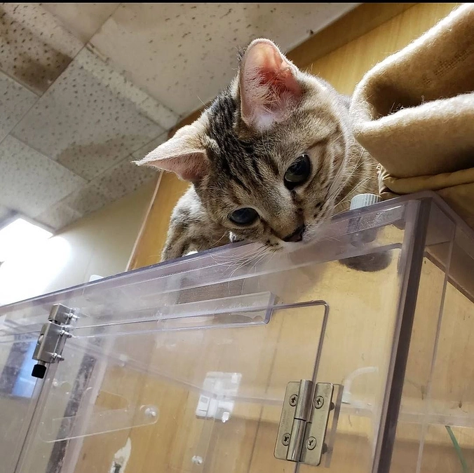 本日も酸素室はフル稼働です