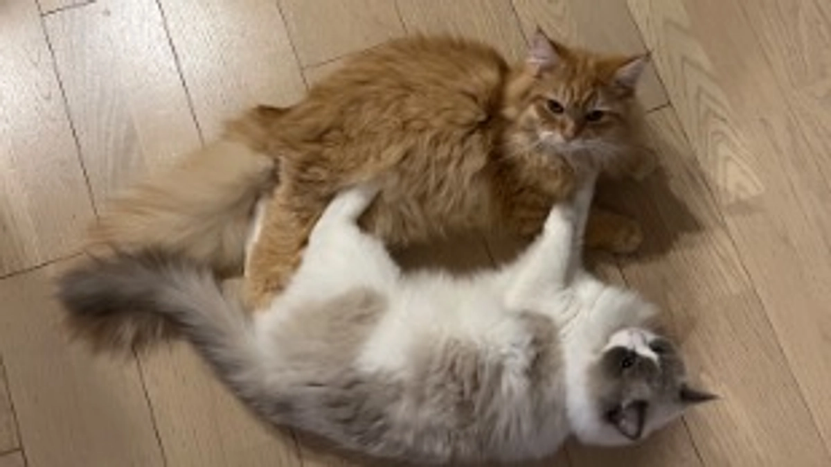 投薬開始から1カ月経過！