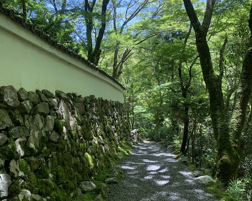 復旧工事が始まりました。