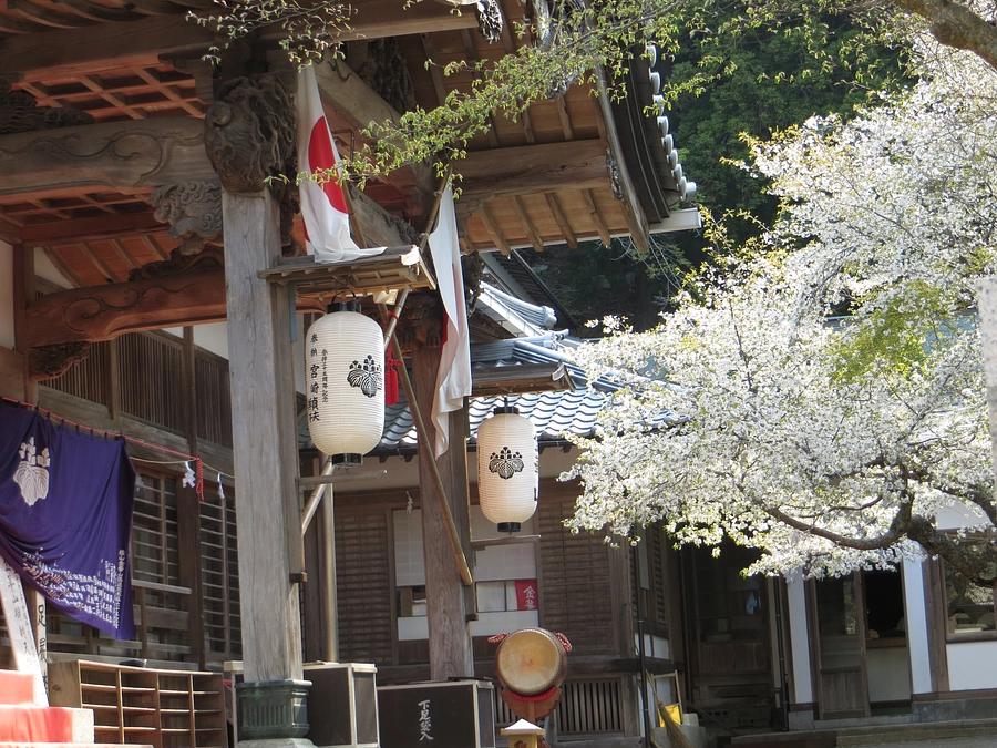 三上さんと「のど飴」の関係