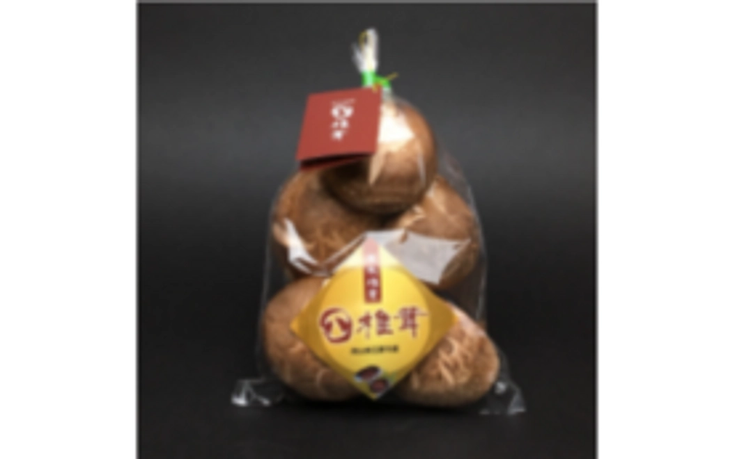 【全力応援】あなたのご支援がプロジェクトの力に繋がります