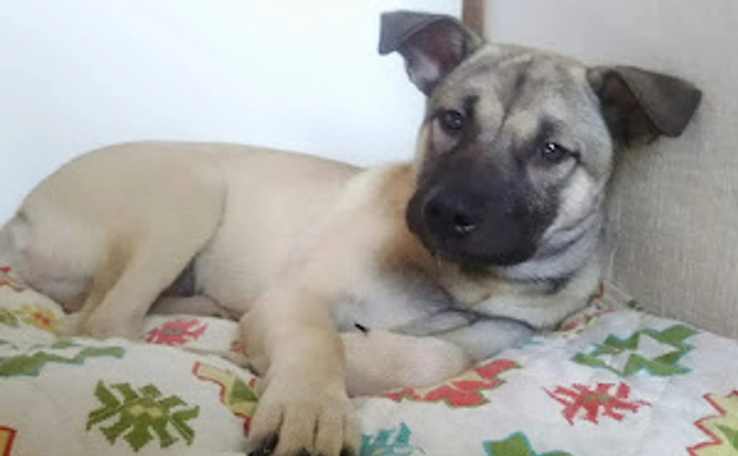 【応援コース】1万円