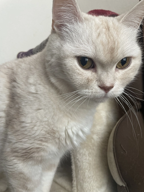 病院に行かせて頂きました。