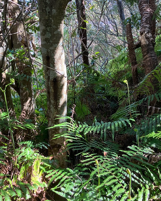 3/20(水)〜司法書士さんと段取り進めてます