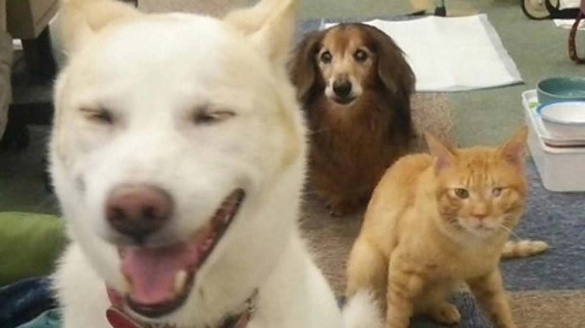 【残りあと7日！目指せ25日までに200万円！】皆様とご一緒に達成のゴールテープを切りたい！