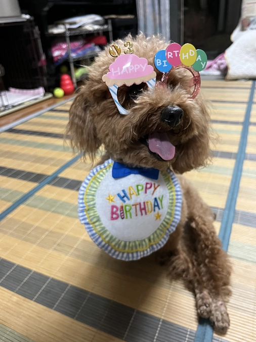 クラウドファンディング最後の夜