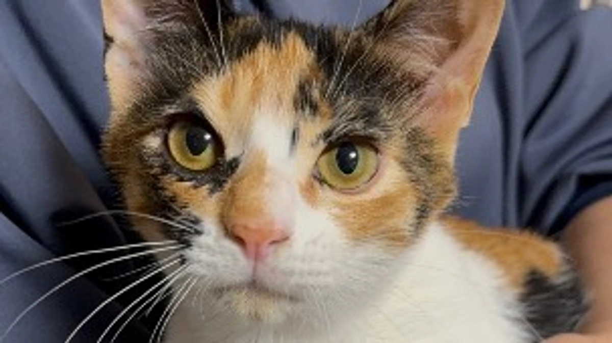 投薬終了しました！