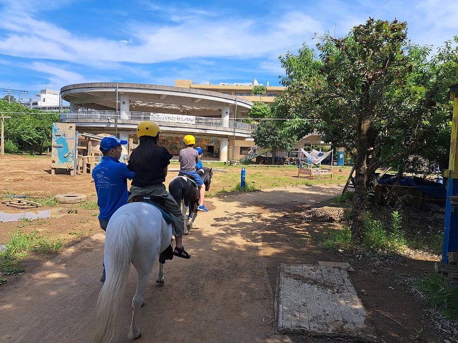 （５）川崎市「子ども夢パーク」