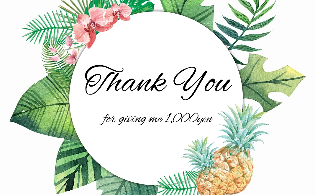 お礼不要の応援コース1000円(リターンを希望しない方々向け)