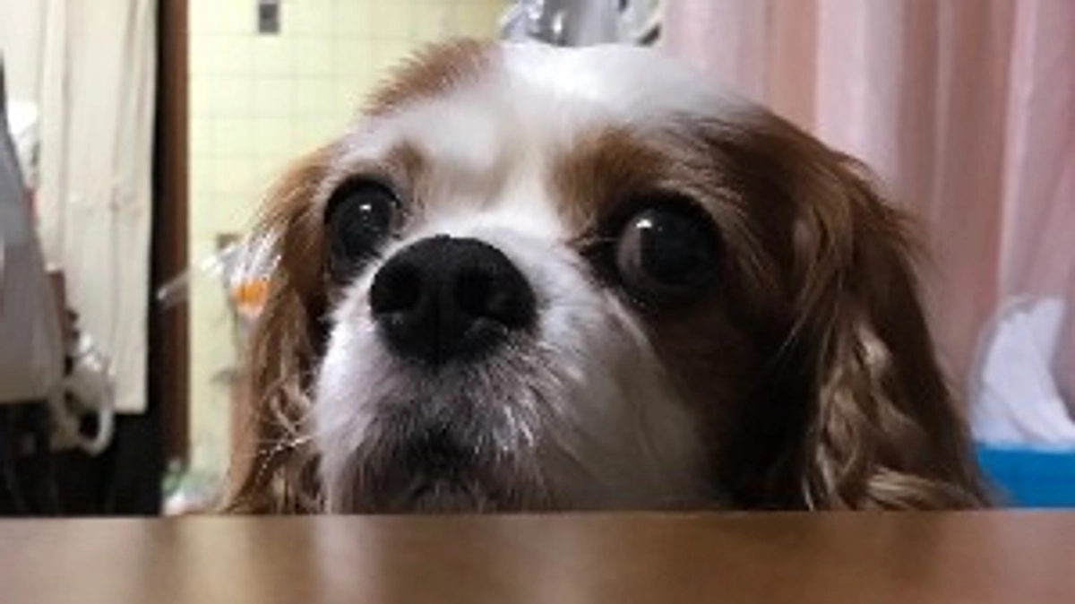 日頃の御礼と今回のプロジェクトに関してのお話